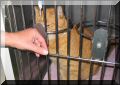 BCSPCA OCT 2006 005.jpg